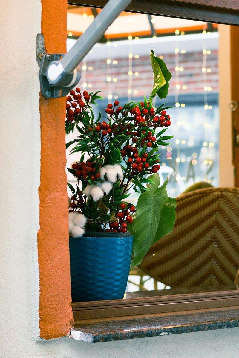 Wie Pflanzen die Raumluft verbessern können