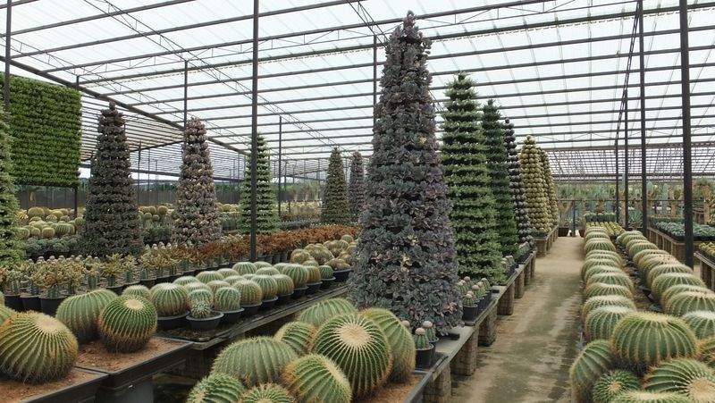 Grünes Paradies Pflanzenstudio - Image 6