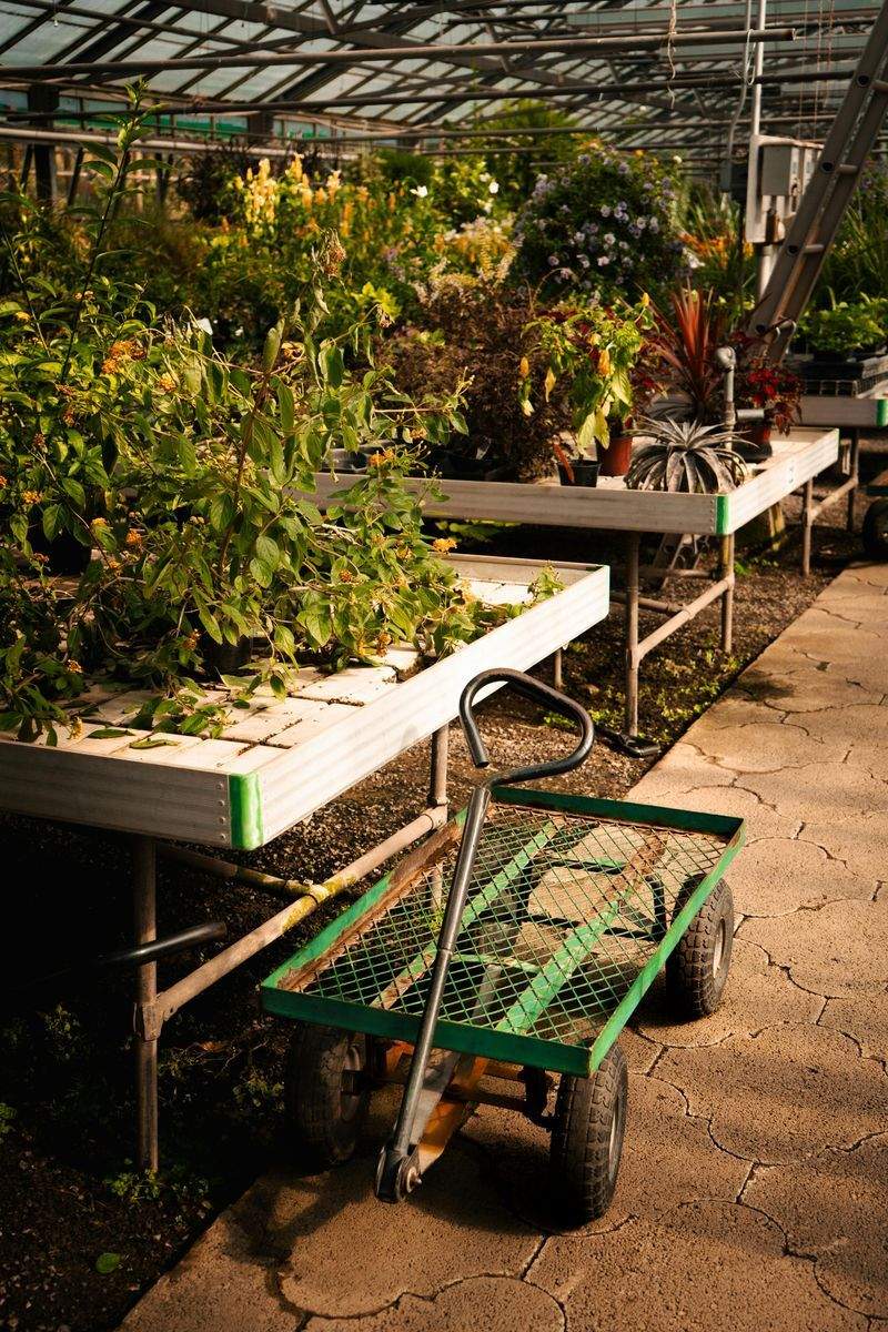 Grünes Paradies Pflanzenstudio - Image 8