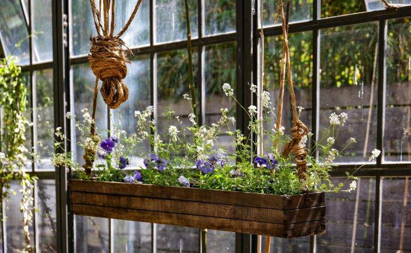 Grünes Paradies Pflanzenstudio - Image 9