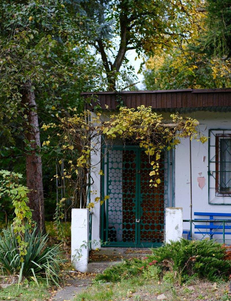 Pflanzenpflege vor Ort